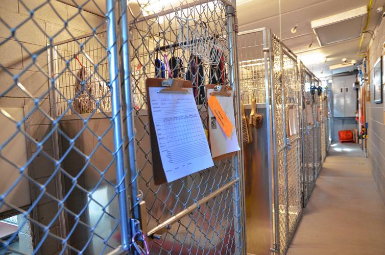 Indoor kennels at the Franklin County Sheriff’s Office Regional Dog Shelter in Turners Falls.