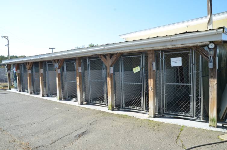 Outdoor kennels at the Franklin County Sheriff’s Office Regional Dog Shelter in Turners Falls.