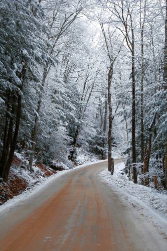 Dudleyville Road in Leverett.