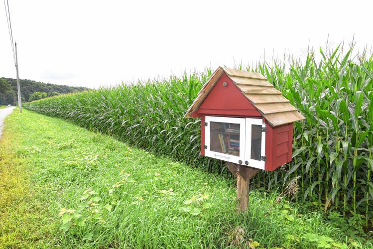 A little free library, where you can take a book or leave a book, is waiting among the corn rows along Pine Meadow Road in Northfield.