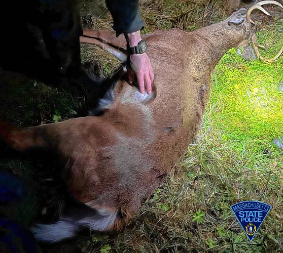 Massachusetts Environmental Police examine a deer that was allegedly shot by two poachers in Colrain on Saturday, Dec. 2.