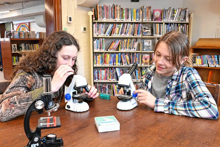 Charlotte Smead of Heath and Juniper Totino of Charlemont, both 13, use microscopes at Arms Library in Shelburne Falls. The library is working to develop a “Library of Things” this spring.