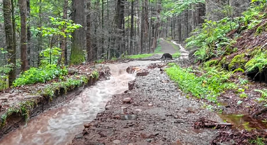 A still image from a video recorded by Eva Gibavic in July shows the damage to Rattlesnake Gutter Road in Leverett caused by the summer’s wet weather. The town must decide whether to keep maintaining the closed portion of the road that provides access to popular recreation areas.