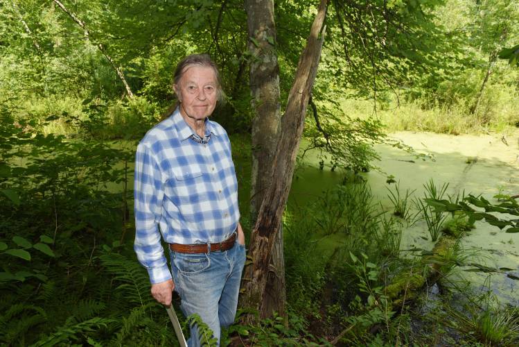 David Brule from the Nolumbeka Project, pictured in White Ash Swamp in Greenfield, will lead a talk called “Indigenous lifeways, loss and renewal in the Connecticut River Valley” at the Bernardston Senior Center on Monday, Oct. 23, at 3 p.m.